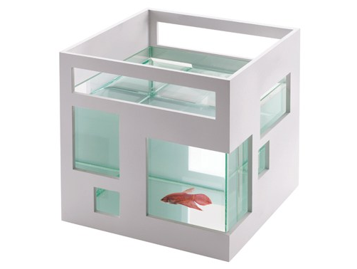 5 tipů na zajímavé doplňky, které oživí interiér