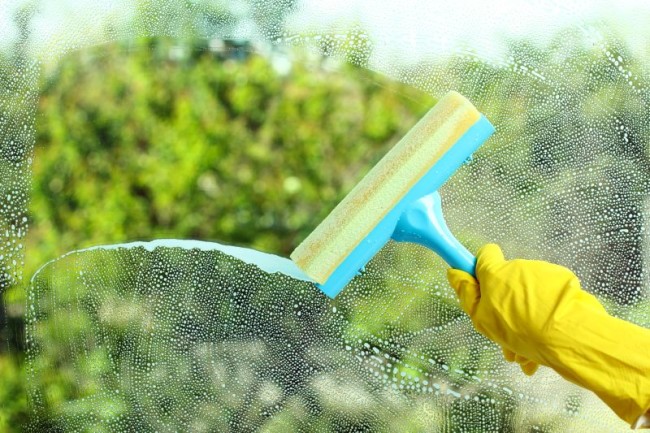 Hand in a yellow glove with special tool washes the soap window on the background of trees