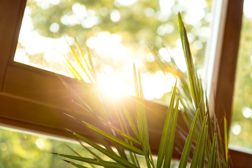 Kdo Vám v Praze umyje okna a prosklené plochy ve výšce