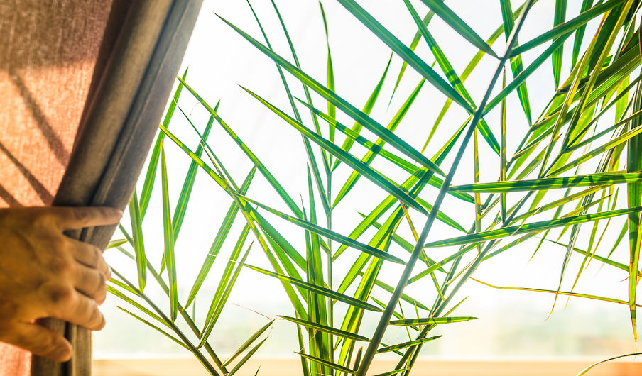 Kde hledat kvalitní firmu na mytí oken a výškové práce? Máme jasného favorita!