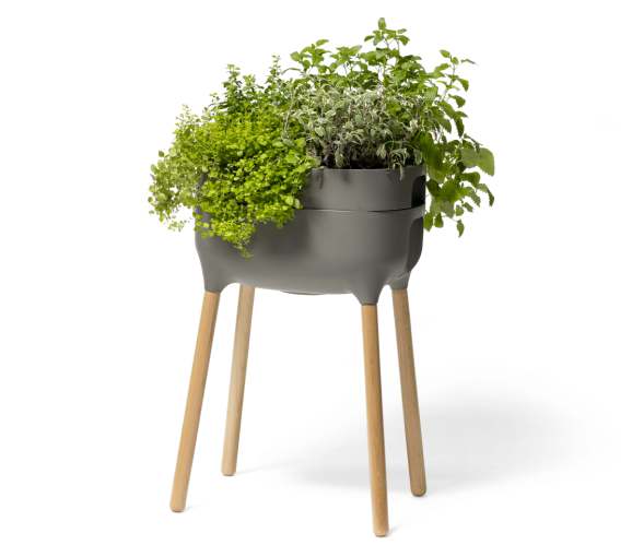 Zelená oáza i ve vašem bytě