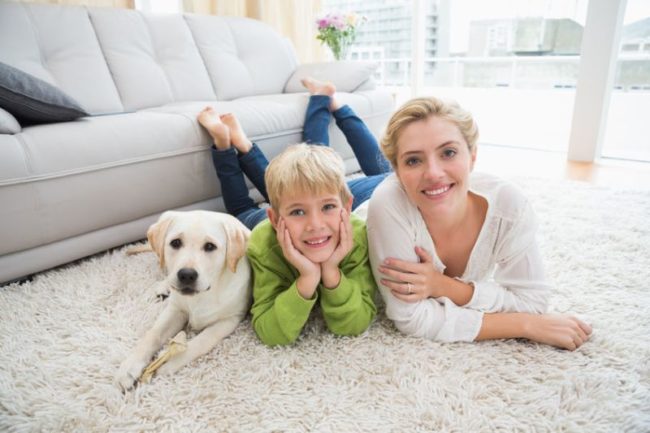 31881428 - happy mother and son with puppy at home in the living room