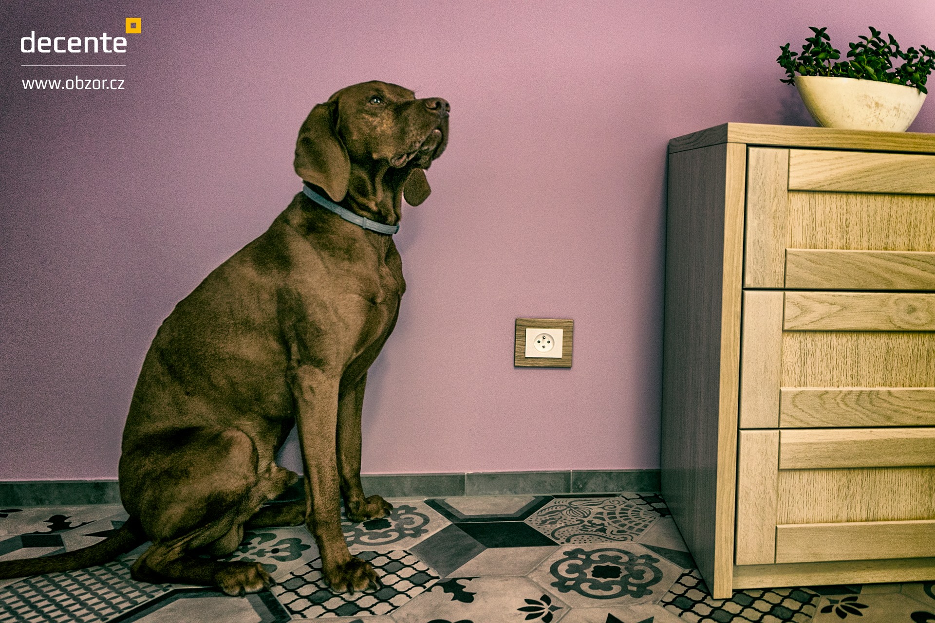 Vypínače a zásuvky – detaily, které ovlivňují celek