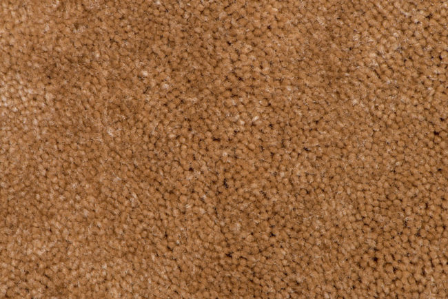 26774552 - closeup detail of brown carpet texture background.