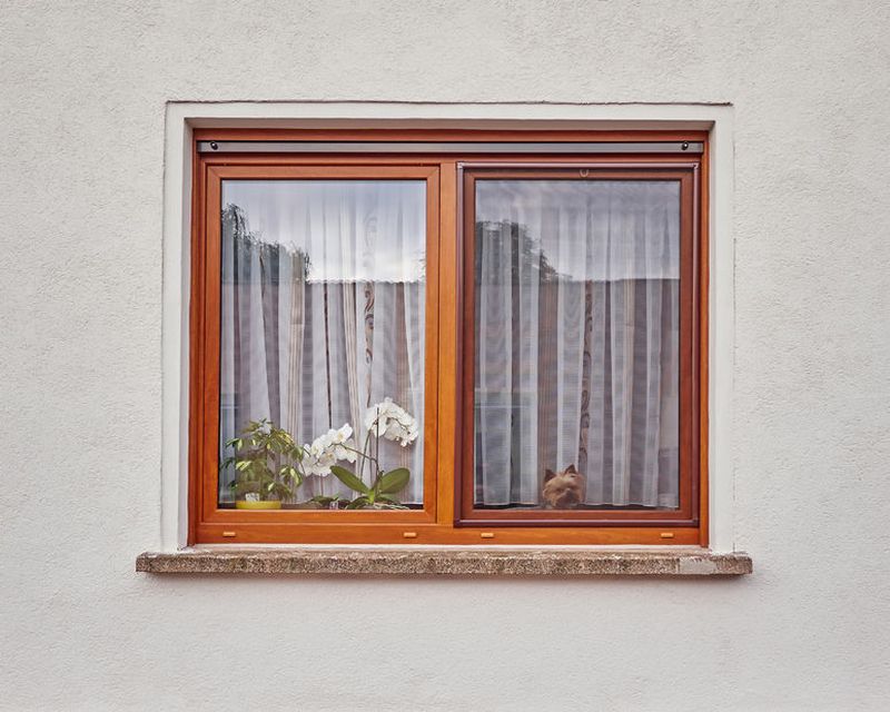 Reinigung von Dachfenstern, Glasfassaden, Arbeiten in Höhen Wien