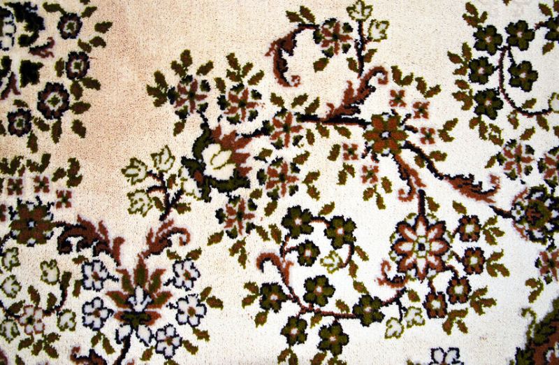 Extraktionsverfahren für die Teppichreinigung nie wieder. Wählen Sie die mechanische maschinelle Nassreinigung Wien