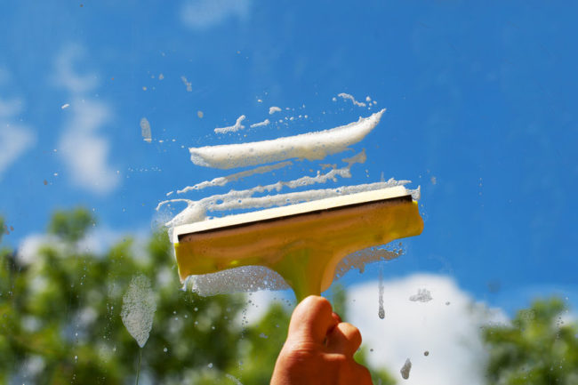 22298263 - cleaning of window in nice summer day.
