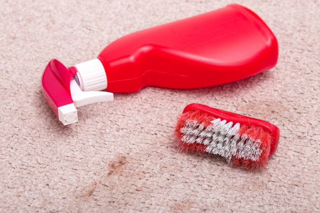 64431059 - brush and cleaner on dirty carpet
