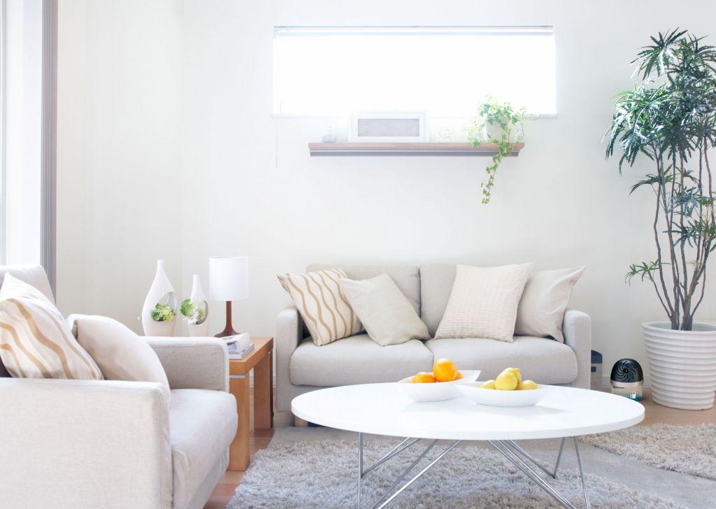 Tipy jak na plísně a vlhkost