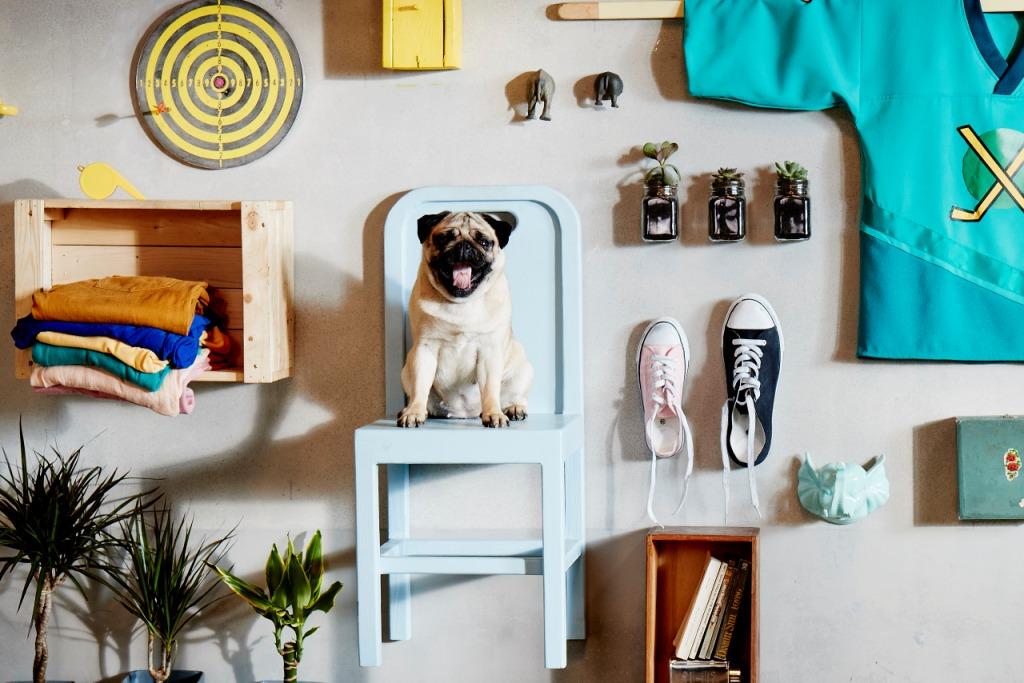 Klikejte a tvořte bydlení, po jakém toužíte!