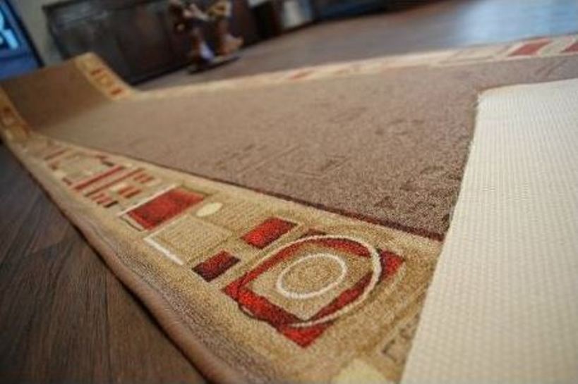 Běhouny se hodí všude