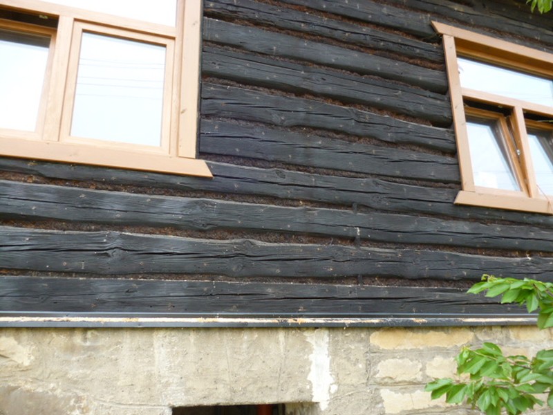 Jak se zbavit tesaříka – jednoho z nejnebezpečnějších škůdců dřeva?