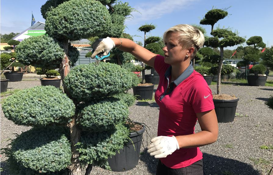 Zahrady ve středověku a renesanci se řídily přísnými pravidly. Jaké to byly?