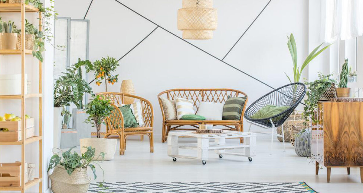 Dvojí tvář ratanu: Přírodní nebo umělý?