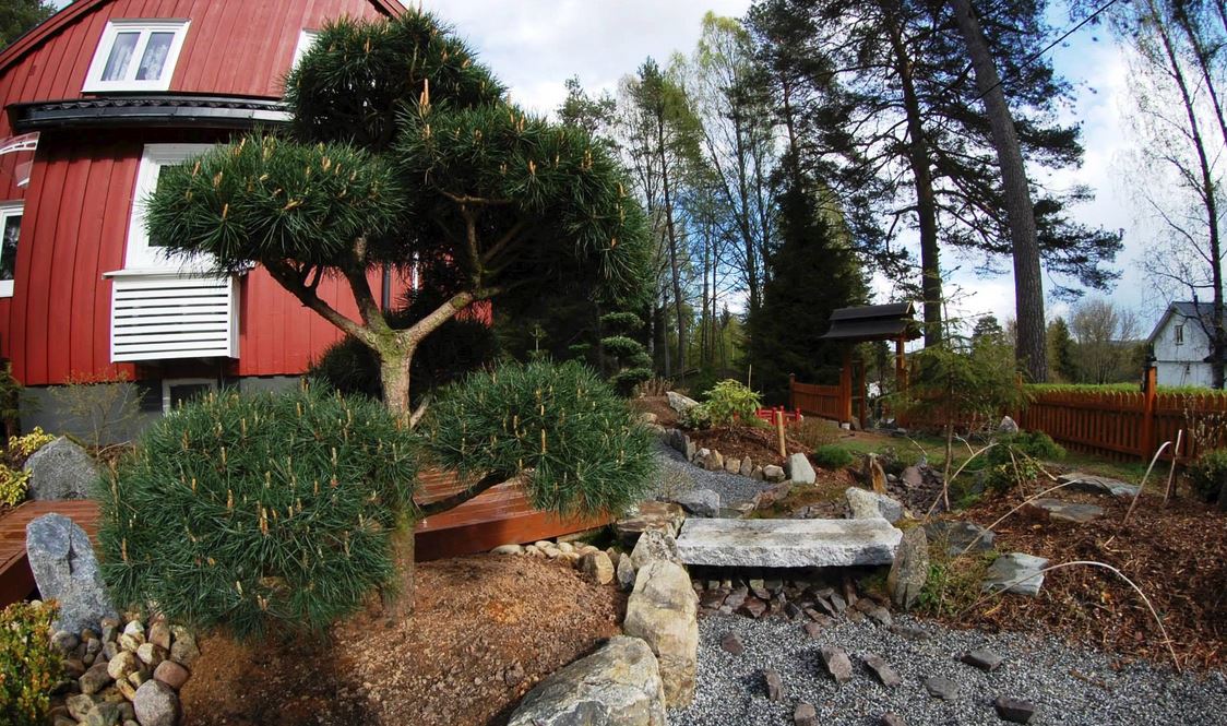 Kompozice v čínské zahradě: jakými pravidly se řídí?