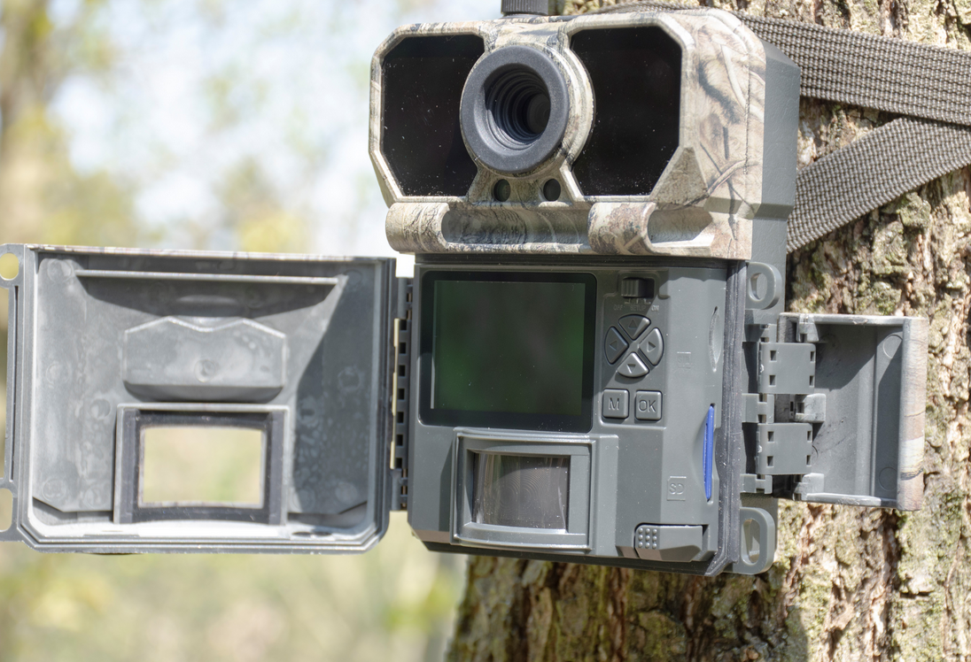 Pořiďte si českou fotopast, která vám pomůže s monitorováním majetku