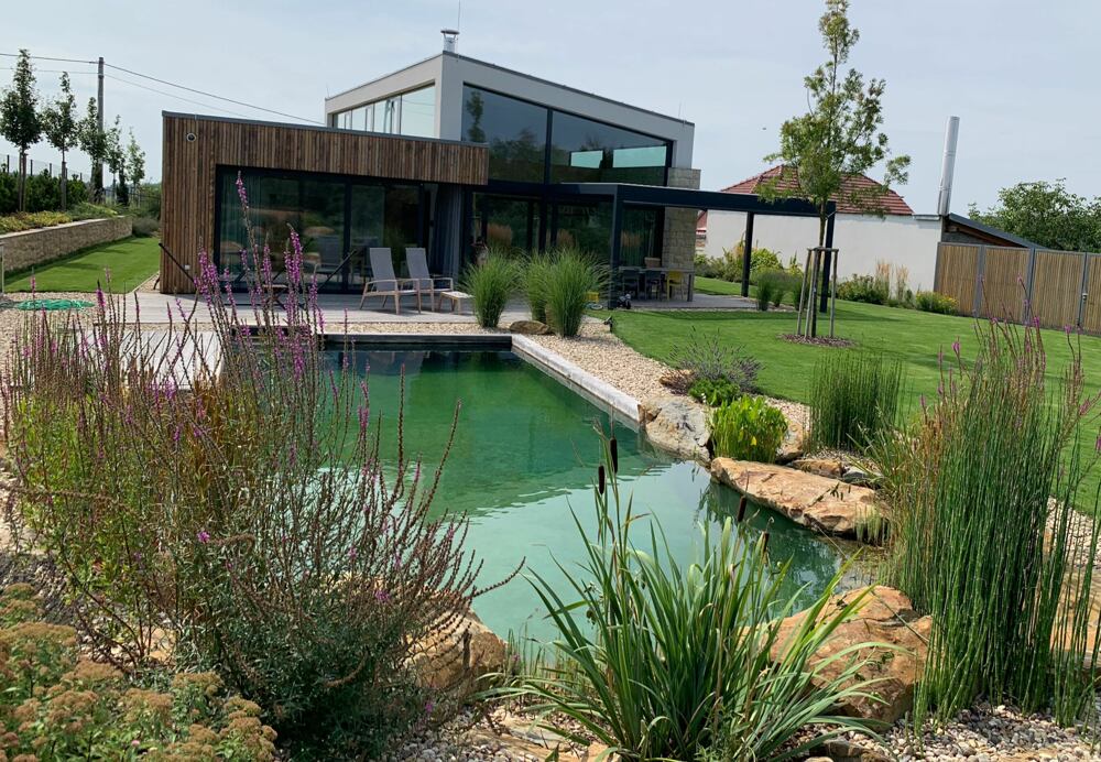 Jaké rostliny do zahradního jezírka pořídit? Tady je pár tipů!